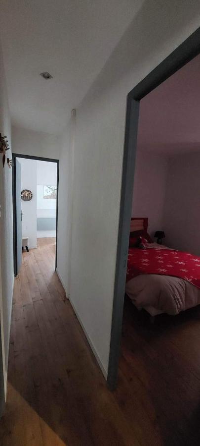 T2 Proche Centre Du Ville Luz-Saint-Sauveur Εξωτερικό φωτογραφία